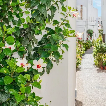 Casa Lorca Lejlighed